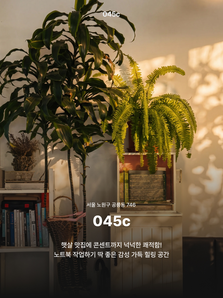 카드뉴스 3