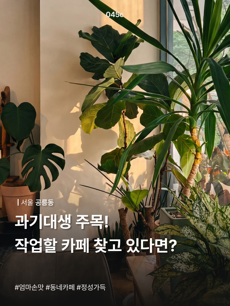 카드뉴스 2